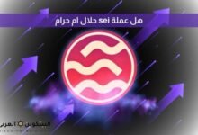 هل عملة sei حلال ام حرام​