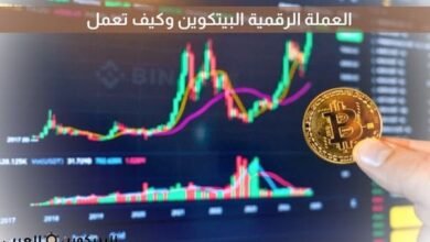 العملة الرقمية البيتكوين وكيف تعمل