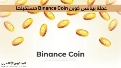 عملة بينانس كوين Binance Coin مستقبلها