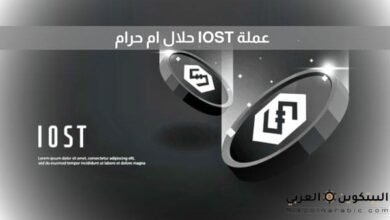 عملة IOST حلال ام حرام