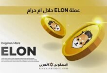 عملة ELON حلال ام حرام