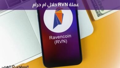عملة RVN حلال ام حرام