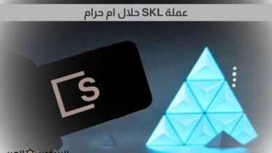 عملة SKL حلال ام حرام