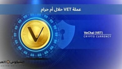 عملة VET حلال أم حرام