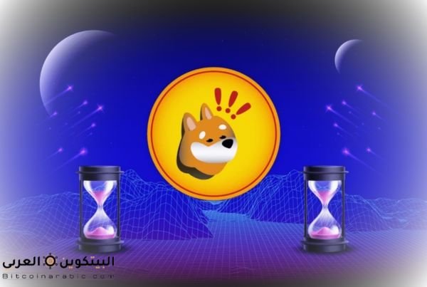 هل عملة bonk حلال ام حرام