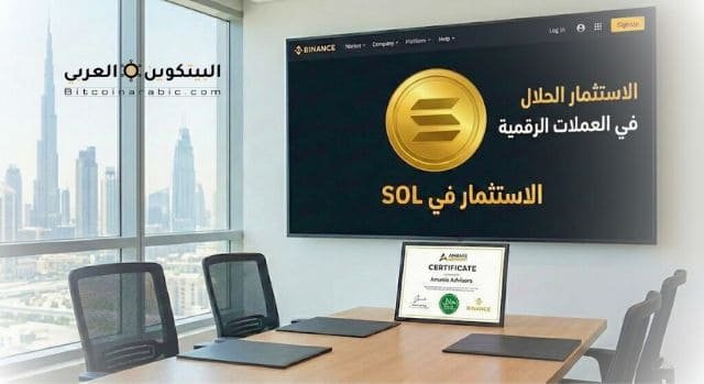 الاستثمار في SOL
