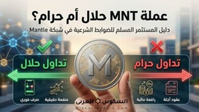عملة MNT حلال أم حرام