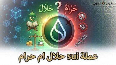 عملة SUI حلال ام حرام