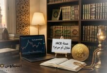 عملة APE حلال ام حرام