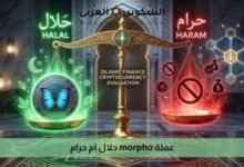 عملة morpho حلال ام حرام