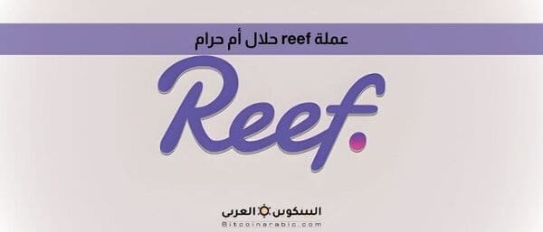 عملة reef حلال أم حرام