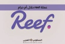 عملة reef حلال أم حرام