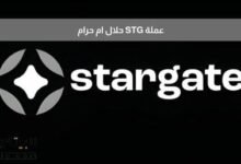 هل عملة stg حلال