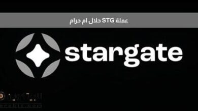 هل عملة stg حلال