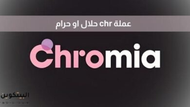 عملة chr حلال او حرام