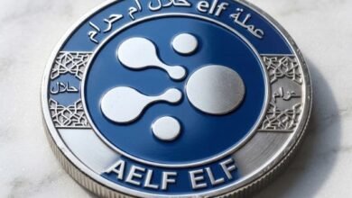 عملة elf حلال ام حرام