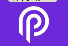 عملة pyth حلال ام حرام