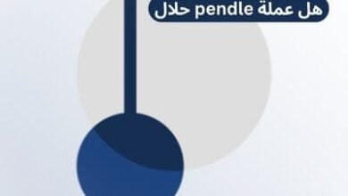 هل عملة pendle حلال